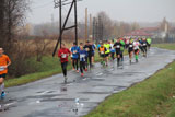 Dęby pomagają przy I Półmaratonie Świdnickim 7.11.2015