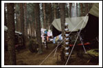 Obóz Dęby Czarny Piec 1988 Color