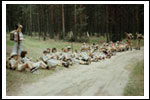 Obóz Dęby Czarny Piec 1988 Color