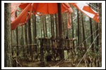 Obóz Dęby Czarny Piec 1988 Color