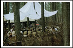 Obóz Dęby Czarny Piec 1988 Color