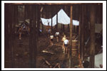 Obóz Dęby Czarny Piec 1988 Color