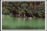 Obóz Dęby Czarny Piec 1988 Color