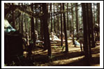 Obóz Dęby Czarny Piec 1988 Color