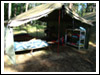 Obóz Drużyny Dęby Niesulice 2010