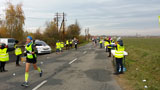 2. RST Półmaraton Świdnicki 5.11.2016
