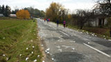 2. RST Półmaraton Świdnicki 5.11.2016