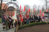 Dąb Katyński 76 Rocznica Zbrodni Katyńskiej 2016