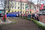 Dąb Katyński 76 Rocznica Zbrodni Katyńskiej 2016
