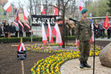 Dąb Katyński 76 Rocznica Zbrodni Katyńskiej 2016