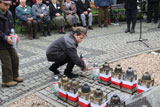 Dąb Katyński 76 Rocznica Zbrodni Katyńskiej 2016