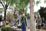 Warty 1 Listopada 2013